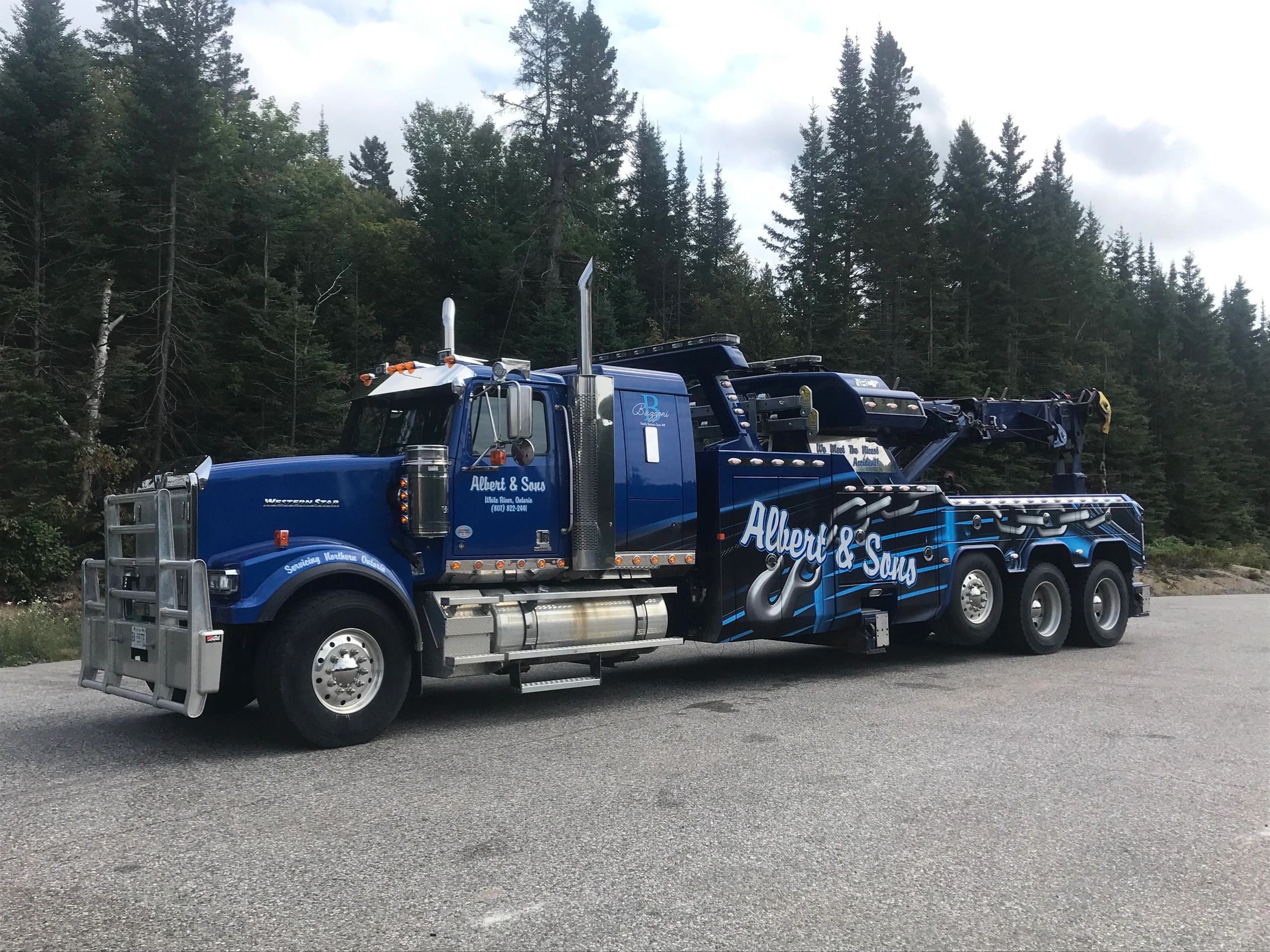 Albert and Sons Service Centre